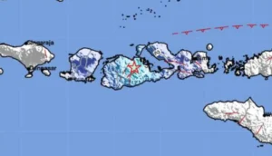BMKG Catat Sejumlah Gempa Hari Ini: Seram M4,7 hingga Guncangan di Sumbawa dan Papua Barat